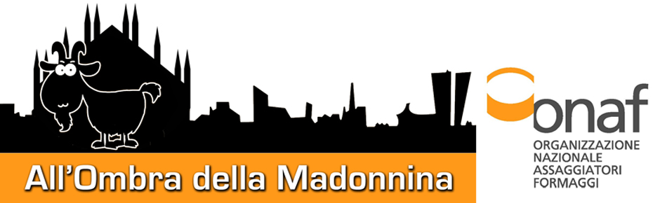 All' Ombra Della Madonnina logo